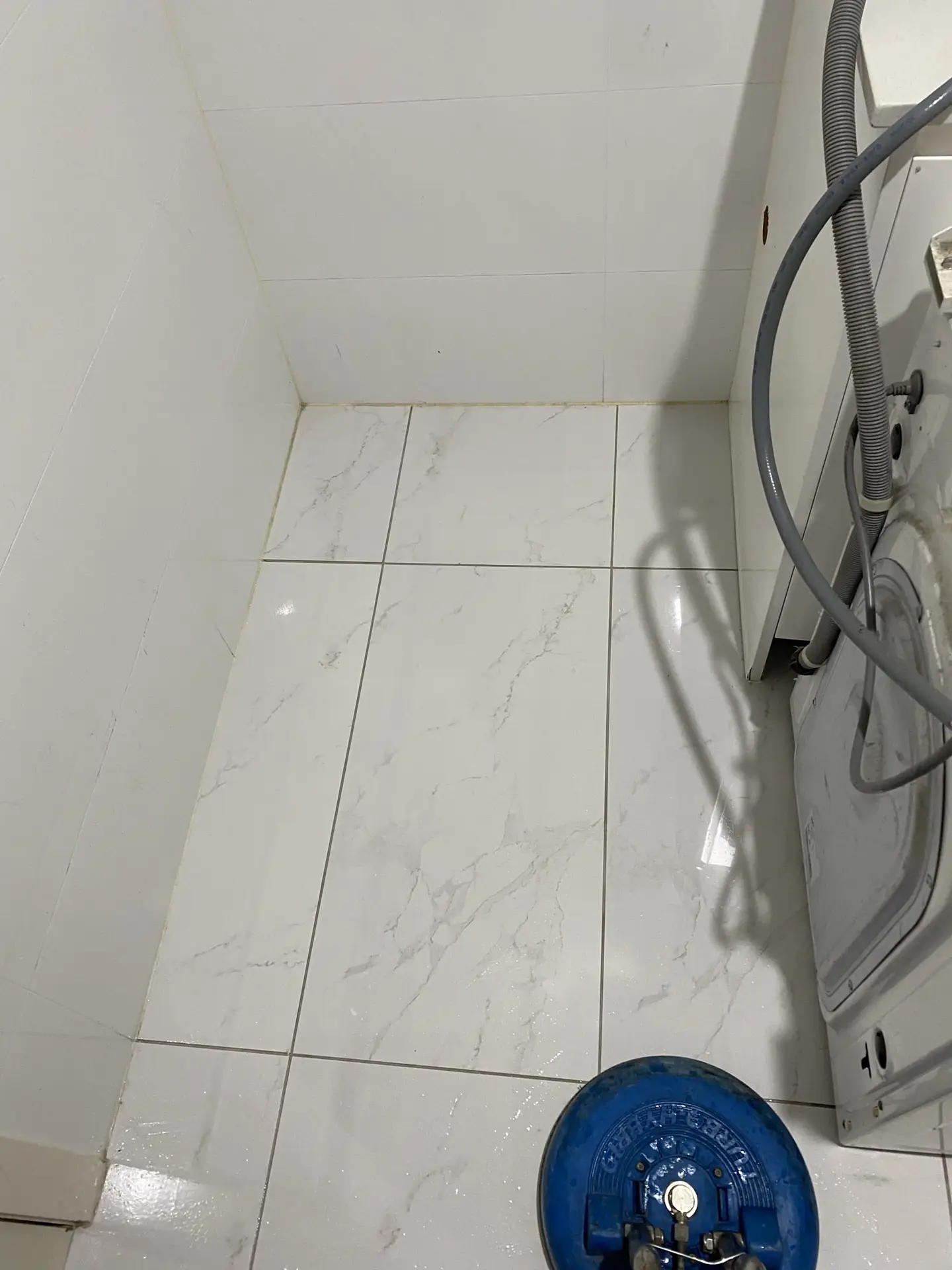 After tile and grout cleaning in Sydney — spotless white floor restored by Restored Right