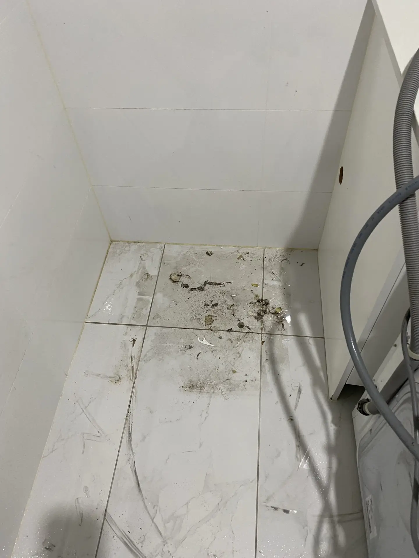 1-min Before tile and grout cleaning in Sydney laundry room — dirty floor with stains and grime buildup