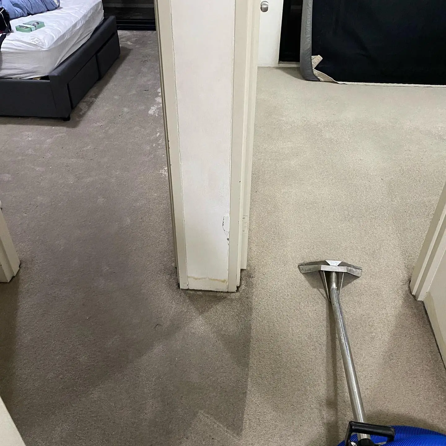 Before and after carpet steam cleaning in Sydney — deep carpet restoration by Restored Right professionals
