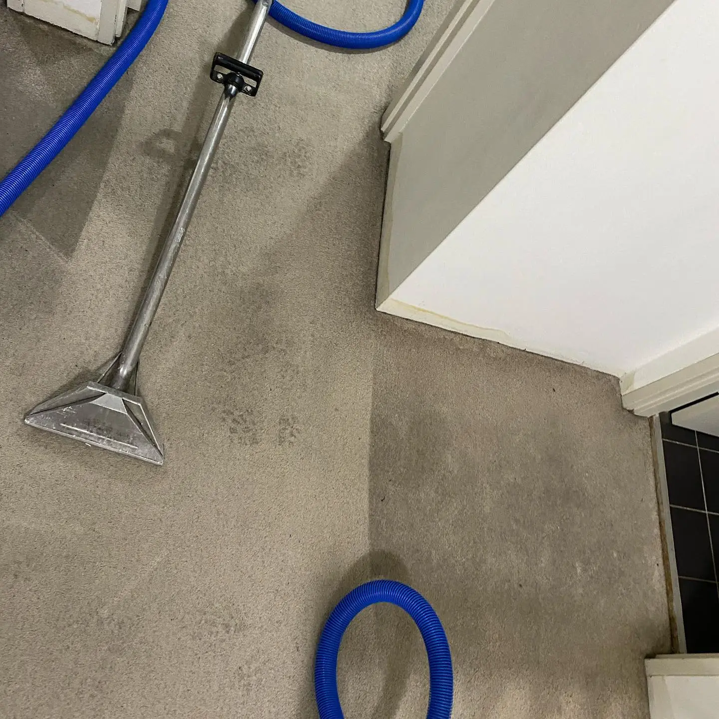 Professional carpet steam cleaning in Sydney — before and after deep carpet restoration by Restored Right