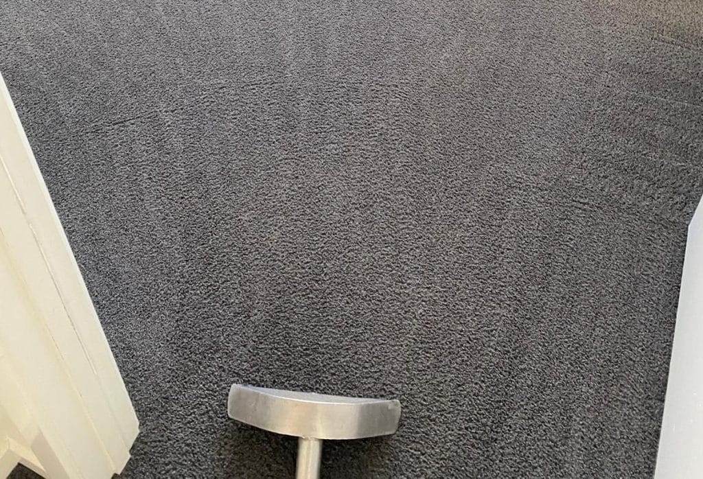 Steam carpet cleaning in Sydney apartment — Restored Right professional service