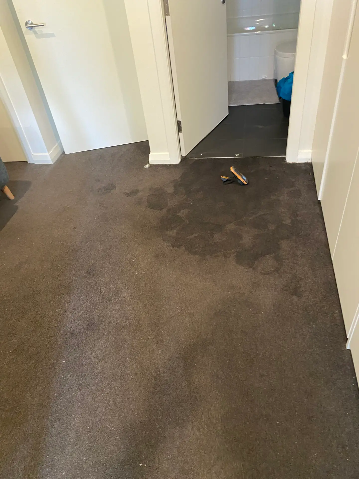 Wet carpet after bathroom water leak — Restored Right Sydney