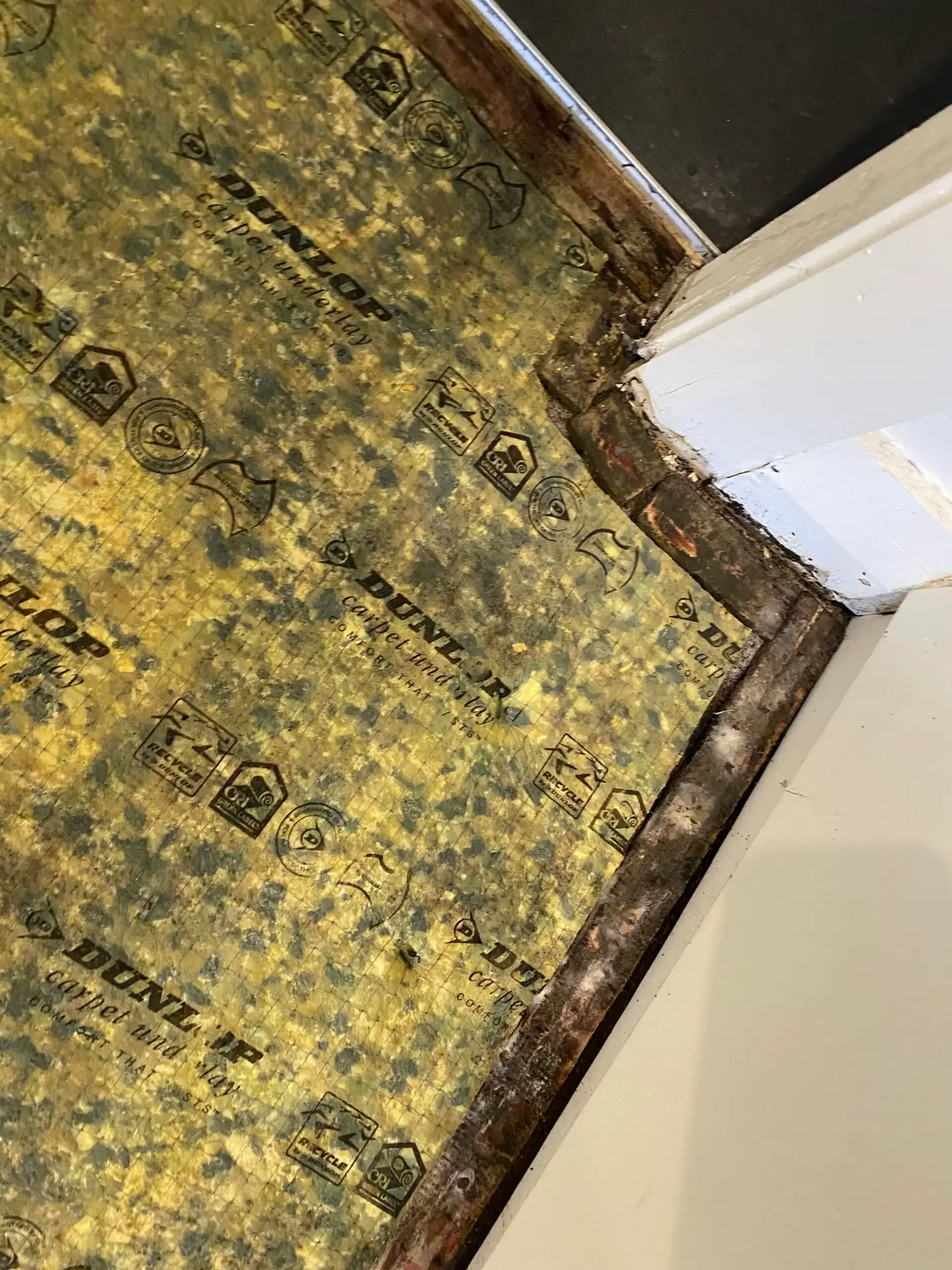 Water-damaged carpet underlay inspection — Restored Right Sydney