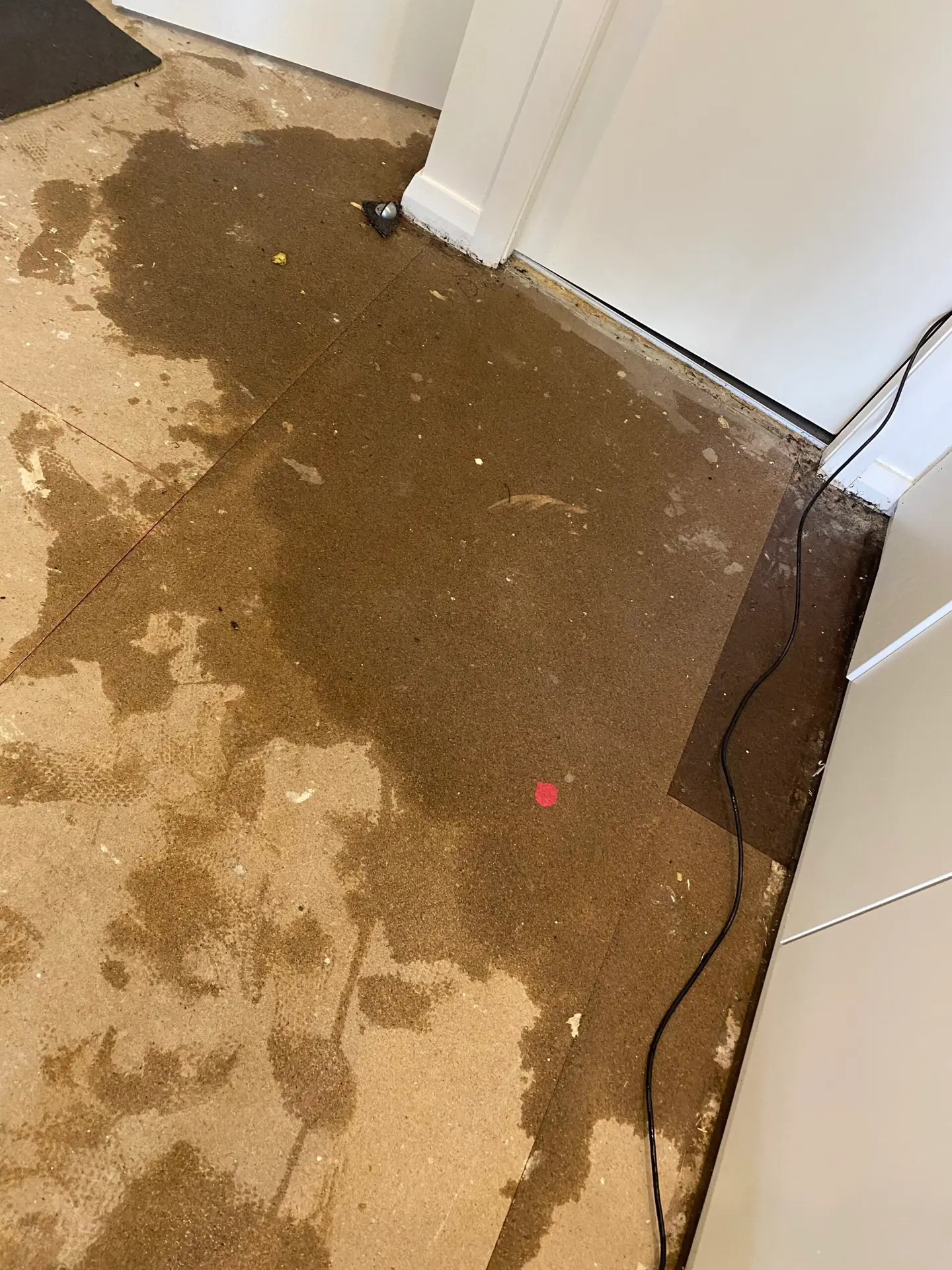 Water damage on subfloor after carpet removal — Restored Right Sydney