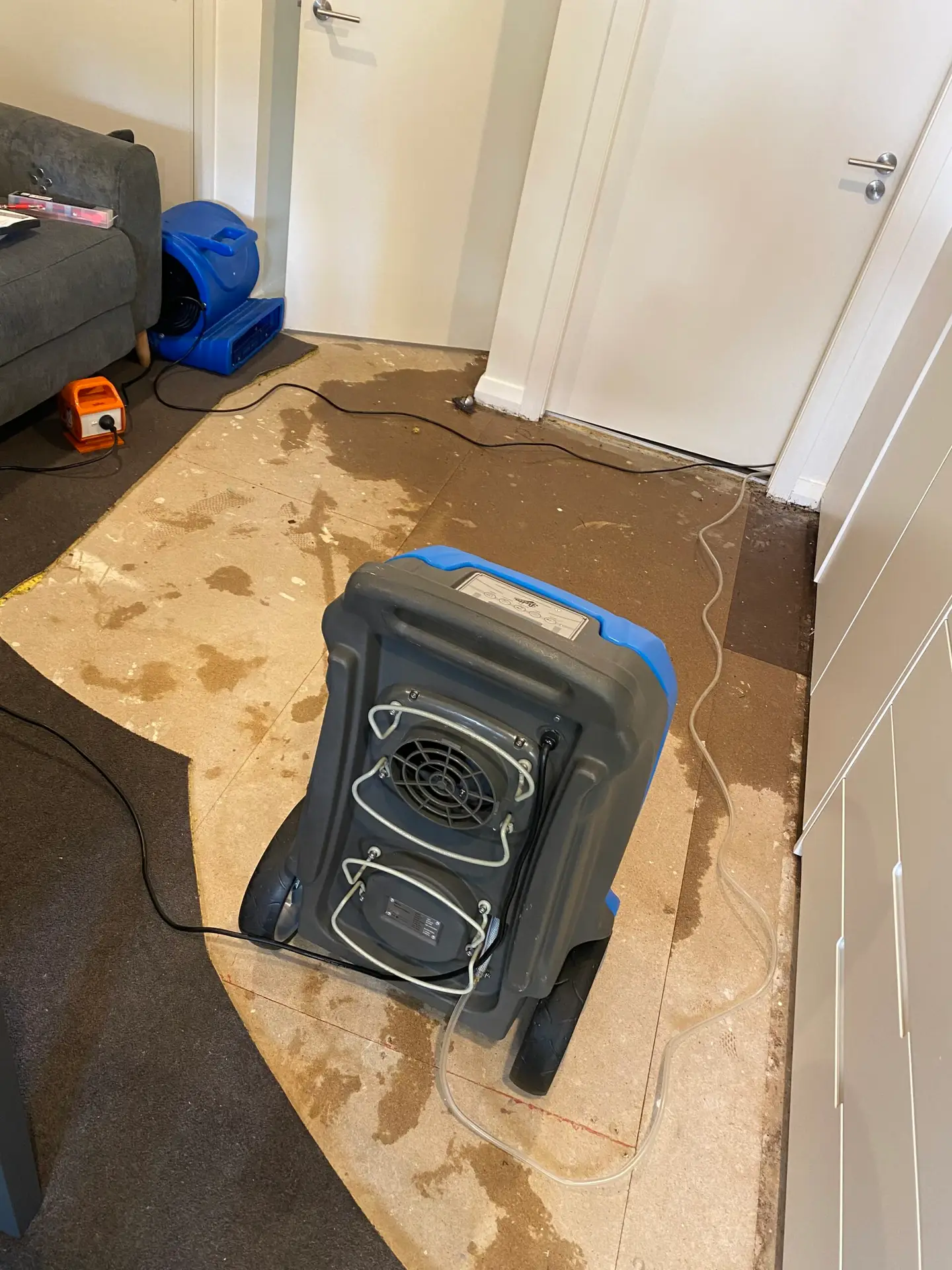 Dehumidifier drying wet carpet after water leak — Restored Right Sydney