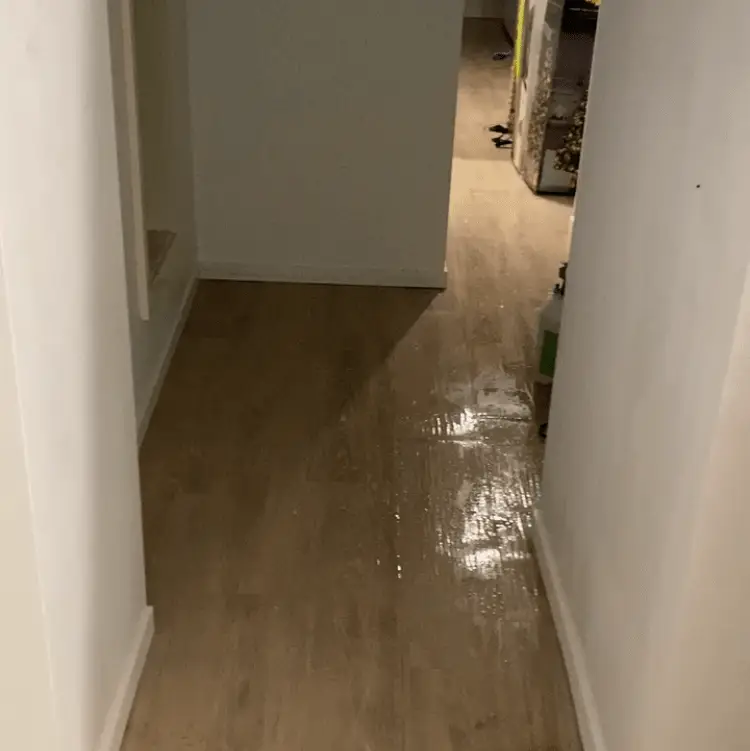 After water extraction and flood damage cleaning in Sydney home hallway — Restored Right restoration results
