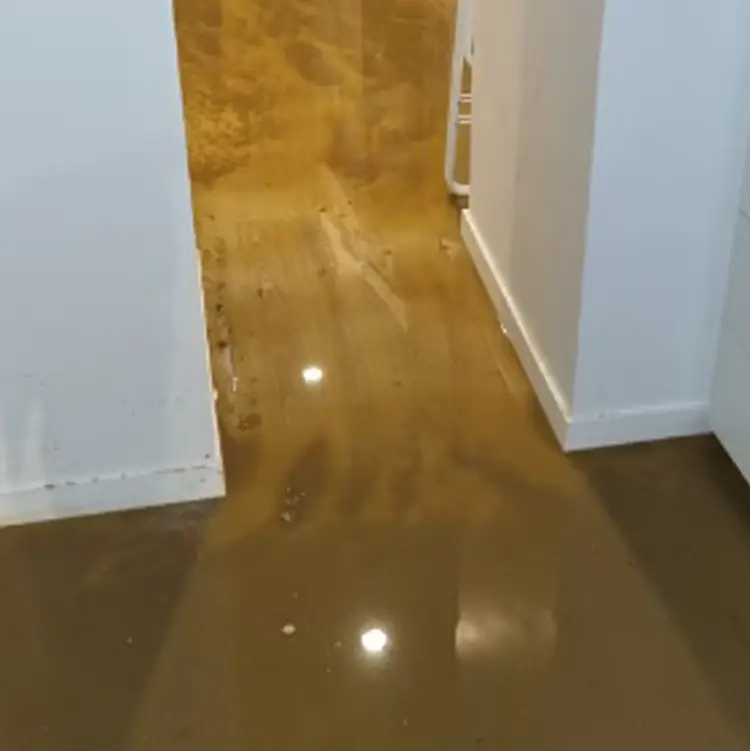 before-4-1 Before water extraction in flooded Sydney hallway — severe water damage before restoration by Restored Right
