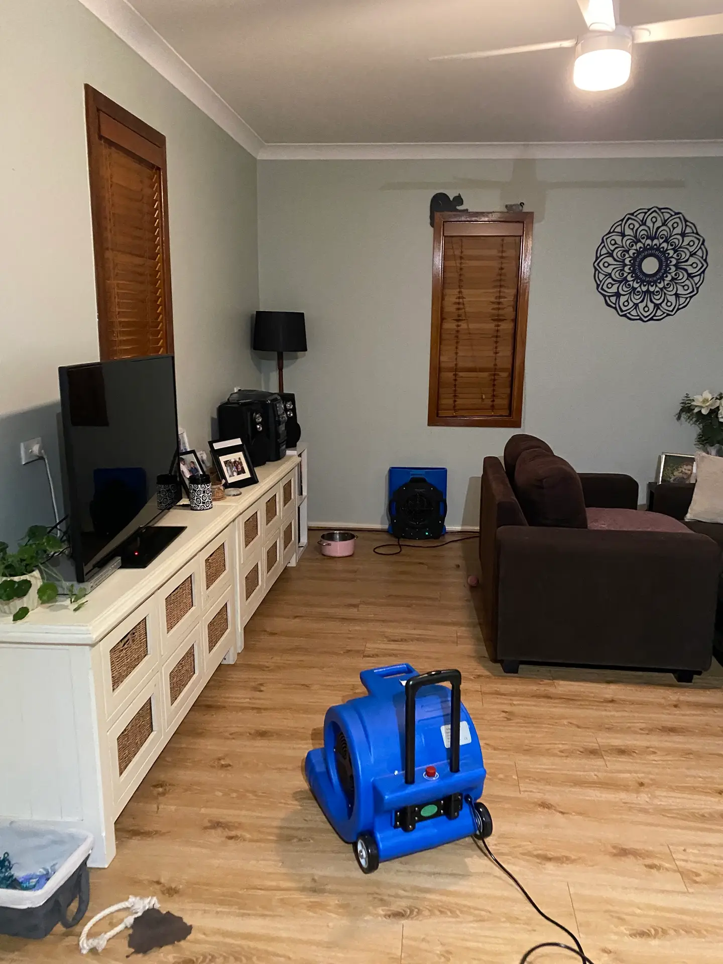 Living room timber floor drying after water leak — Restored Right Sydney