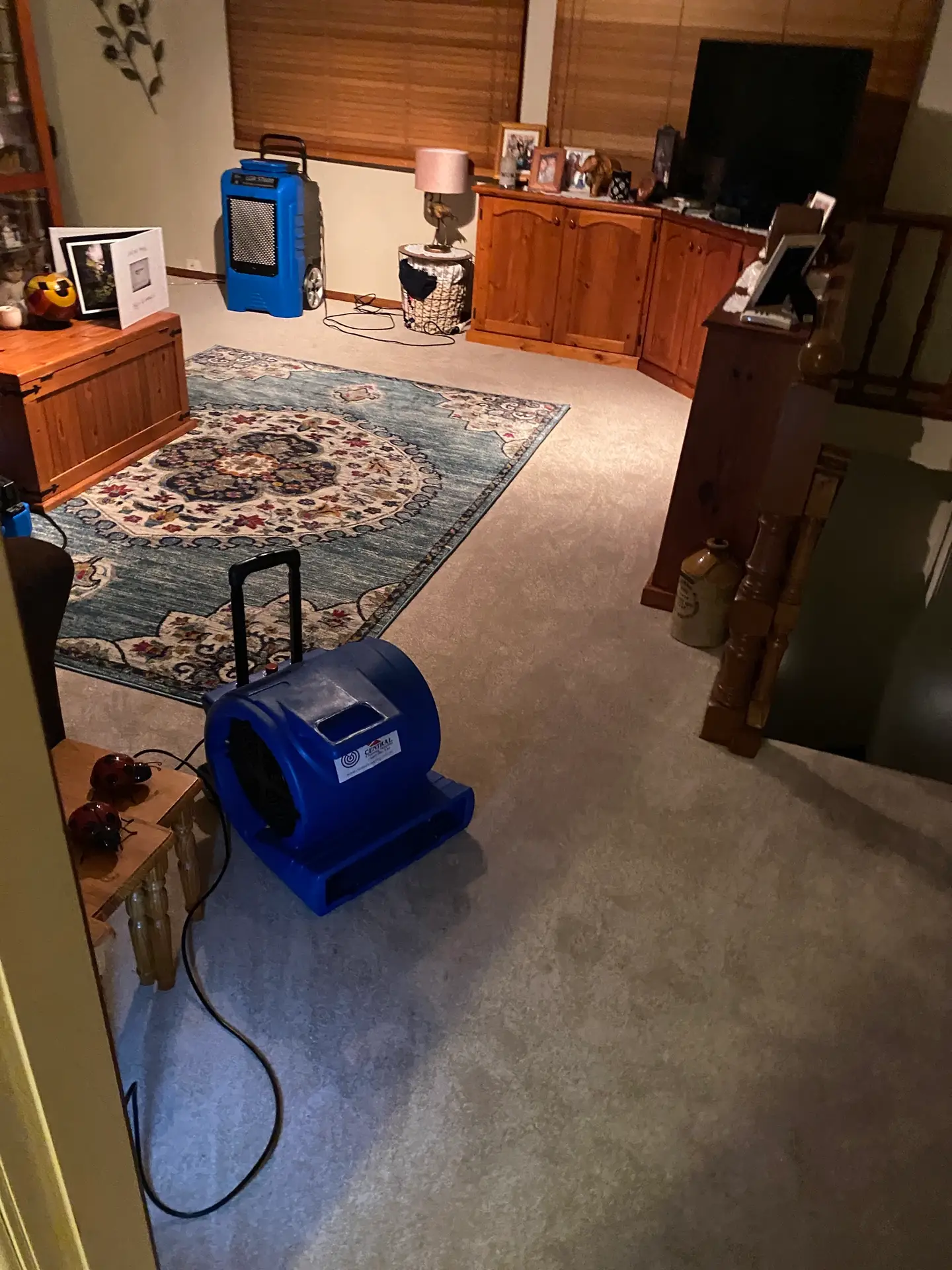 Flood restoration and carpet drying equipment in living room — Restored Right Sydney