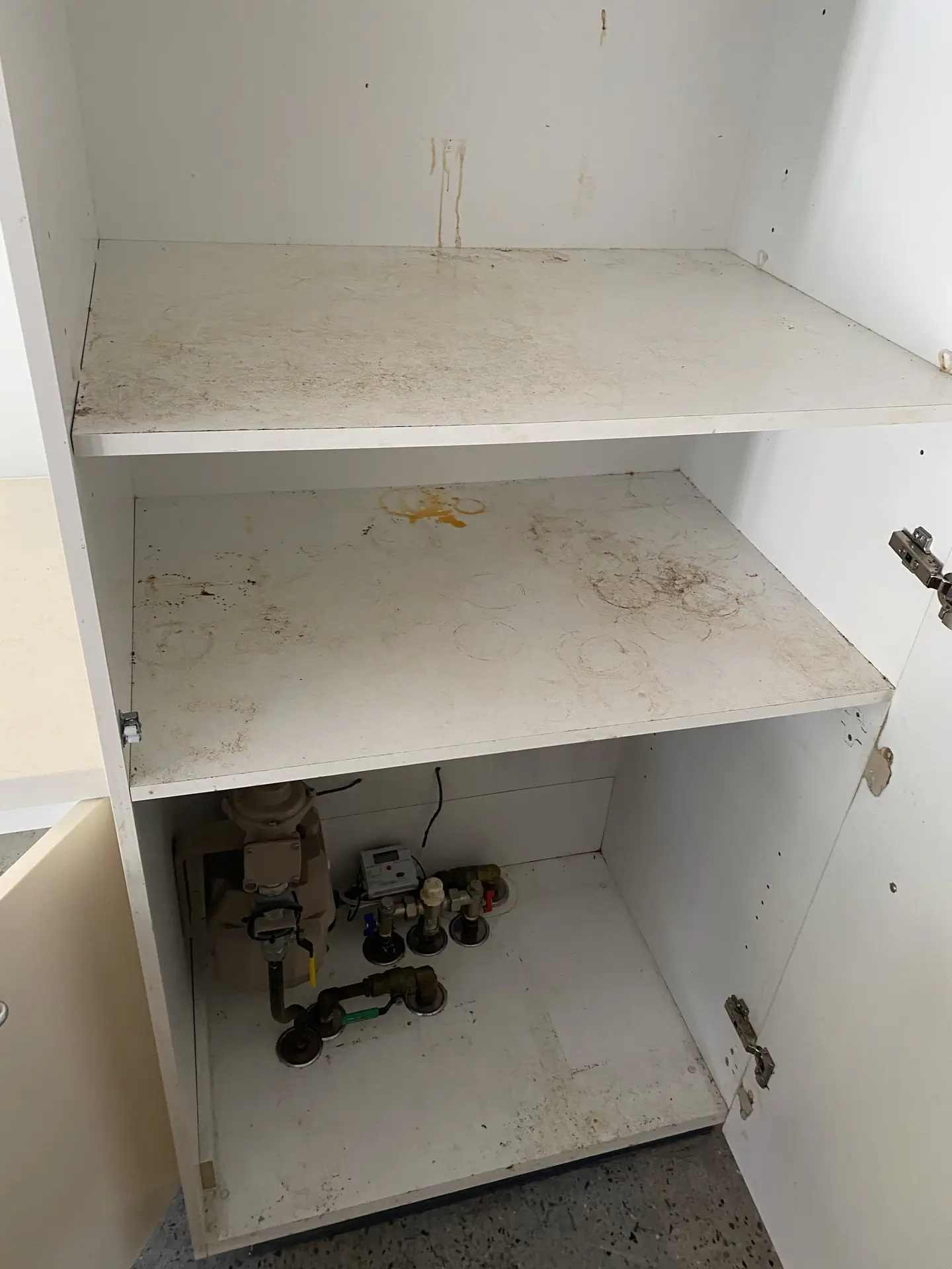 restored-right-sydney-before-5-min Before cabinet deep cleaning in Sydney — interior shelves scrubbed and disinfected by Restored Right